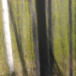 Meet your Posher, Karen